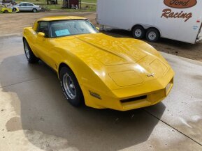 1980 Chevrolet Corvette for sale 101733977