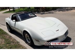 1980 Chevrolet Corvette for sale 101743750