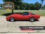 1980 Chevrolet Corvette for sale 101755066