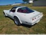 1980 Chevrolet Corvette for sale 101760391