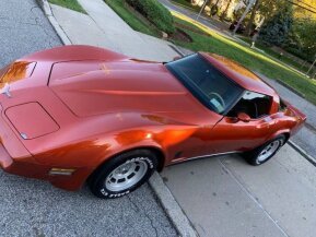1980 Chevrolet Corvette for sale 101837918