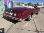Thumbnail Photo 4 for 1980 Chevrolet Monte Carlo LS for Sale by Owner