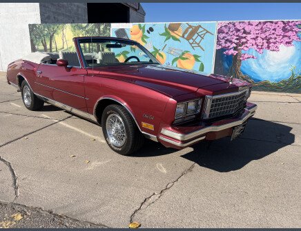 Photo 1 for 1980 Chevrolet Monte Carlo LS for Sale by Owner