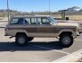 1980 Jeep Wagoneer Limited for sale 101696971