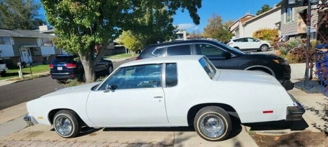 1980 cutlass supreme shop for sale