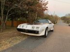 Thumbnail Photo 2 for 1980 Pontiac Firebird Trans Am for Sale by Owner