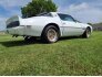 1980 Pontiac Firebird for sale 101587909