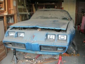 1980 Pontiac Firebird for sale 101900132