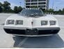 1980 Pontiac Trans Am for sale 101771758