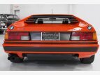 Thumbnail Photo 7 for New 1981 BMW M1