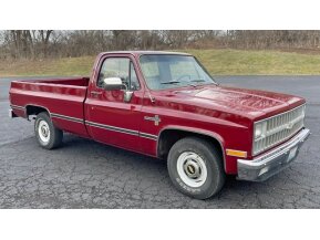 1981 Chevrolet C/K Truck for sale 101725950