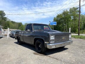 1981 Chevrolet C/K Truck for sale 101741421