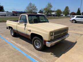 1981 Chevrolet C/K Truck Scottsdale for sale 101792722