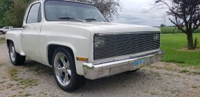 1981 Chevrolet C/K Truck C10 for sale 101773350