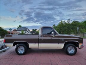 1981 Chevrolet C/K Truck Silverado for sale 102025829