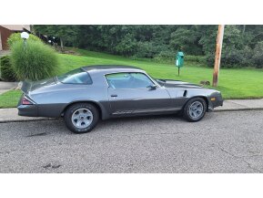 1981 Chevrolet Camaro Coupe for sale 101570899