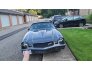 1981 Chevrolet Camaro Coupe for sale 101570899