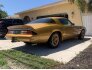 1981 Chevrolet Camaro Coupe for sale 101693258
