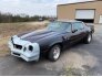 1981 Chevrolet Camaro Coupe for sale 101719914