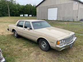 1981 Chevrolet Caprice Classic Sedan for sale 101774126