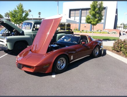 Photo 1 for 1981 Chevrolet Corvette Coupe for Sale by Owner