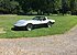 1981 Chevrolet Corvette Coupe for sale 101174201