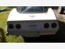 1981 Chevrolet Corvette for sale 101586960