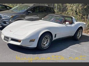 1981 Chevrolet Corvette for sale 101797282