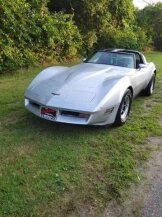 1981 Chevrolet Corvette for sale 101794186