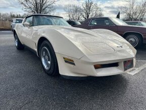 1981 Chevrolet Corvette for sale 101981864