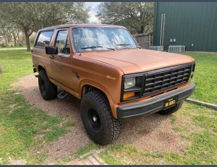 Photo 1 for 1981 Ford Bronco