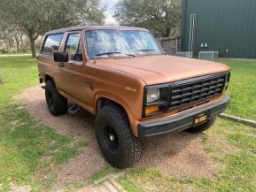 1981 Ford Bronco for sale 101859098