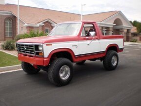 1981 Ford Bronco for sale 101991783