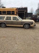 1981 Ford Other Ford Models for sale 101696100
