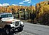 1981 Jeep CJ 7 for sale 101175224