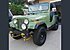 1981 Jeep CJ 5 for sale 101482400