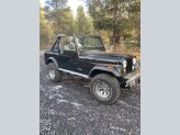 1981 Jeep CJ 7