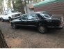 1981 Mercedes-Benz 300SD for sale 101699574