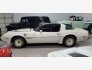 1981 Pontiac Firebird Trans Am Turbo Special for sale 101558076