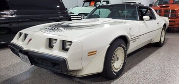 1981 Pontiac Firebird Trans Am Turbo Special