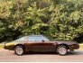 1981 Pontiac Firebird Trans Am for sale 101595248