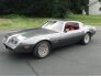 1981 Pontiac Firebird for sale 101714351