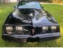 1981 Pontiac Firebird for sale 101823600