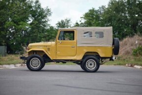 1981 Toyota Land Cruiser for sale 101889630