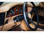 Thumbnail Photo 17 for 1982 Aston Martin V8 Vantage