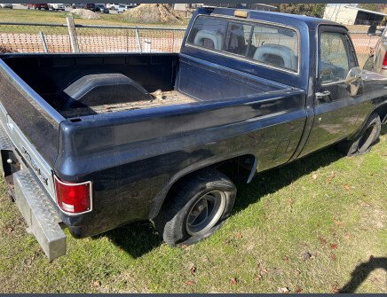 Photo 1 for 1982 Chevrolet C/K Truck 2WD Regular Cab 1500 for Sale by Owner