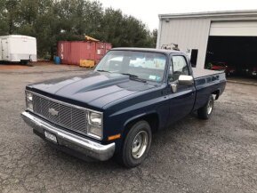 1982 Chevrolet C/K Truck for sale 101682912