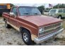 1982 Chevrolet C/K Truck for sale 101731147
