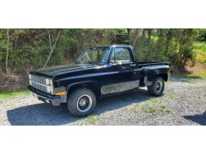1982 Chevrolet C/K Truck for sale 101740664