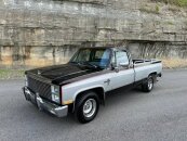 1982 Chevrolet C/K Truck 2WD Regular Cab 1500